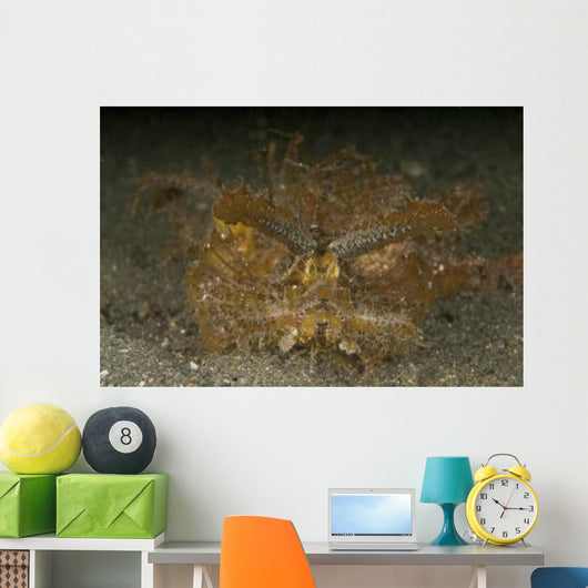 Green Ambon Scorpionfish North Wall Decal Design 1