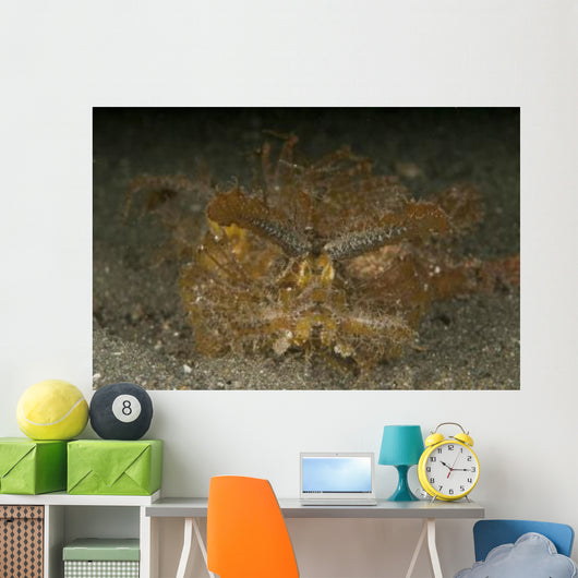 Green Ambon Scorpionfish North Wall Decal Design 1