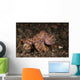 Ocellate Octopus with Two Wall Decal Design 3