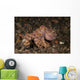 Ocellate Octopus with Two Wall Decal Design 3