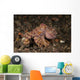 Ocellate Octopus with Two Wall Decal Design 3