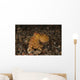 Ocellate Octopus with Two Wall Decal Design 2