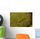 Red-eyed Goby Green Sea Wall Decal