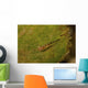 Red-eyed Goby Green Sea Wall Decal