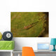 Red-eyed Goby Green Sea Wall Decal