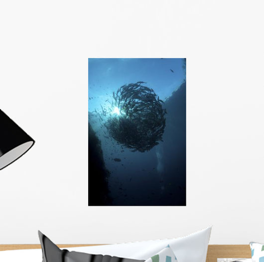 Ball Trevally Liberty Wreck Wall Decal Design 2