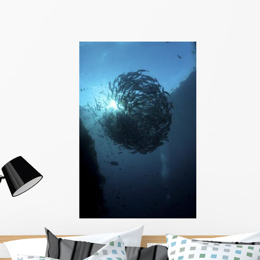 Ball Trevally Liberty Wreck Wall Decal Design 2