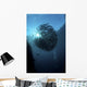 Ball Trevally Liberty Wreck Wall Decal Design 2