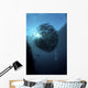 Ball Trevally Liberty Wreck Wall Decal Design 2