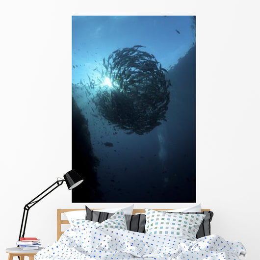 Ball Trevally Liberty Wreck Wall Decal Design 2