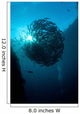 Ball Trevally Liberty Wreck Wall Decal Design 2