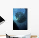 Ball Trevally Liberty Wreck Wall Decal Design 1