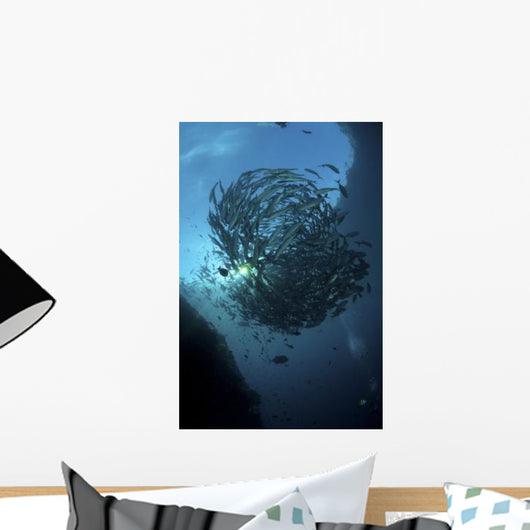 Ball Trevally Liberty Wreck Wall Decal Design 1