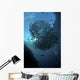 Ball Trevally Liberty Wreck Wall Decal Design 1