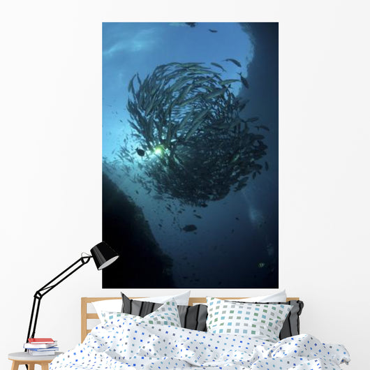 Ball Trevally Liberty Wreck Wall Decal Design 1