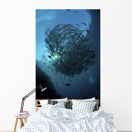 Ball Trevally Liberty Wreck Wall Decal Design 1
