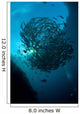Ball Trevally Liberty Wreck Wall Decal Design 1
