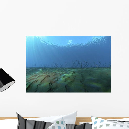 Group Undulating Garden Eels Wall Decal