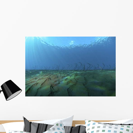 Group Undulating Garden Eels Wall Decal