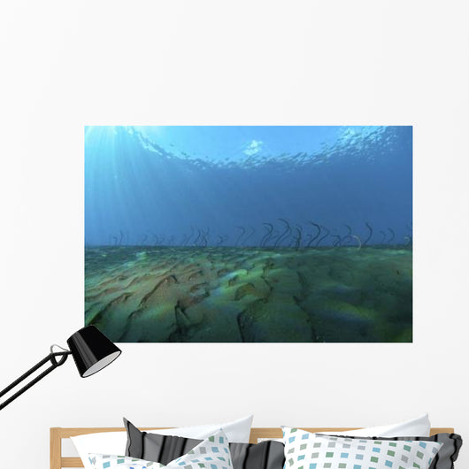Group Undulating Garden Eels Wall Decal
