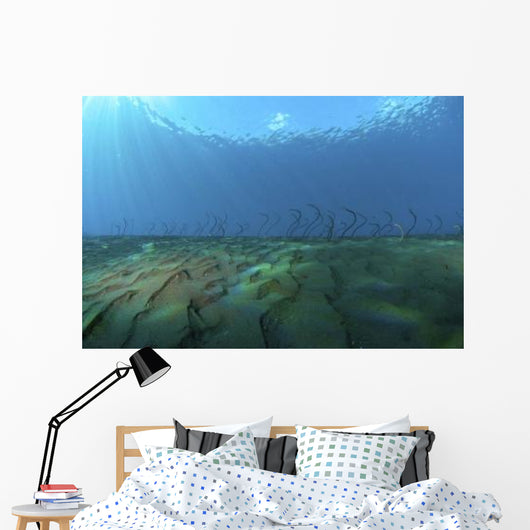 Group Undulating Garden Eels Wall Decal