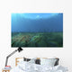 Group Undulating Garden Eels Wall Decal