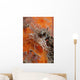 Tiger Shrimp Orange Sponge Wall Decal