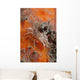 Tiger Shrimp Orange Sponge Wall Decal