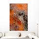 Tiger Shrimp Orange Sponge Wall Decal