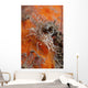 Tiger Shrimp Orange Sponge Wall Decal