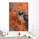 Tiger Shrimp Orange Sponge Wall Decal