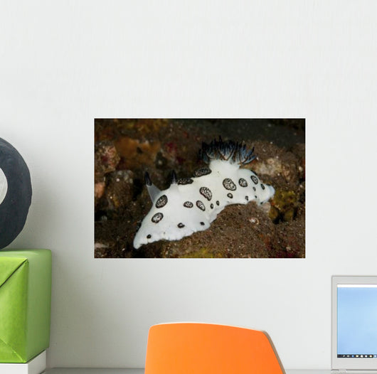 Black and White Spotted Wall Decal