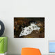 Black and White Spotted Wall Decal