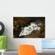 Black and White Spotted Wall Decal