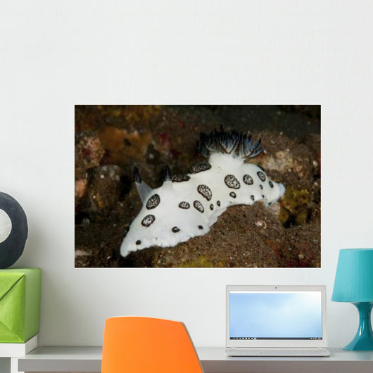 Black and White Spotted Wall Decal