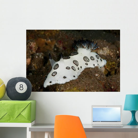 Black and White Spotted Wall Decal