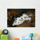 Black and White Spotted Wall Decal