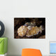 Pair Nudibranch Sea Slugs Wall Decal