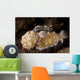 Pair Nudibranch Sea Slugs Wall Decal