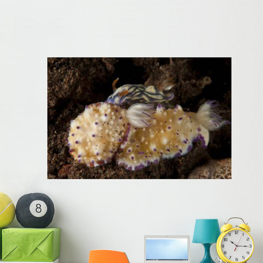 Pair Nudibranch Sea Slugs Wall Decal