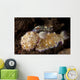 Pair Nudibranch Sea Slugs Wall Decal