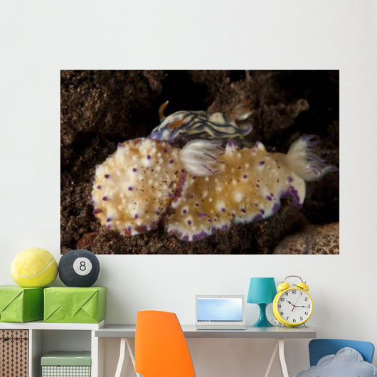 Pair Nudibranch Sea Slugs Wall Decal