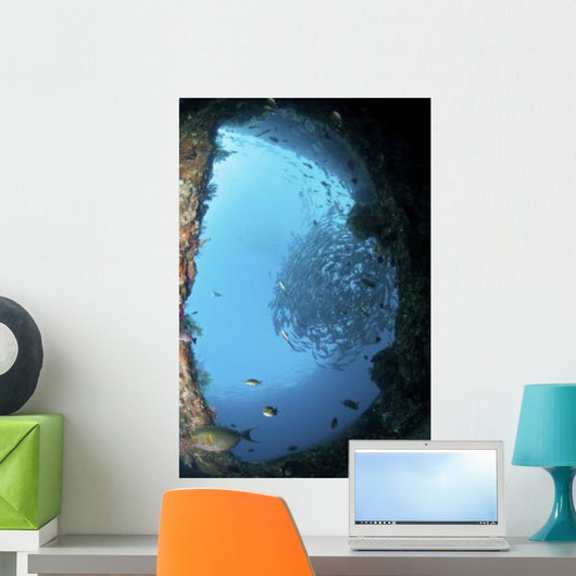 School Trevally Seen through Wall Decal