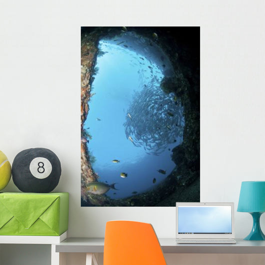 School Trevally Seen through Wall Decal