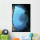 School Trevally Seen through Wall Decal