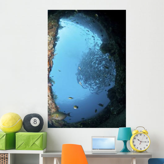 School Trevally Seen through Wall Decal