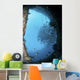 School Trevally Seen through Wall Decal