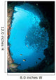 School Trevally Seen through Wall Decal