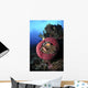 Three Pink Anemonefish Circular Wall Decal