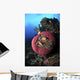 Three Pink Anemonefish Circular Wall Decal